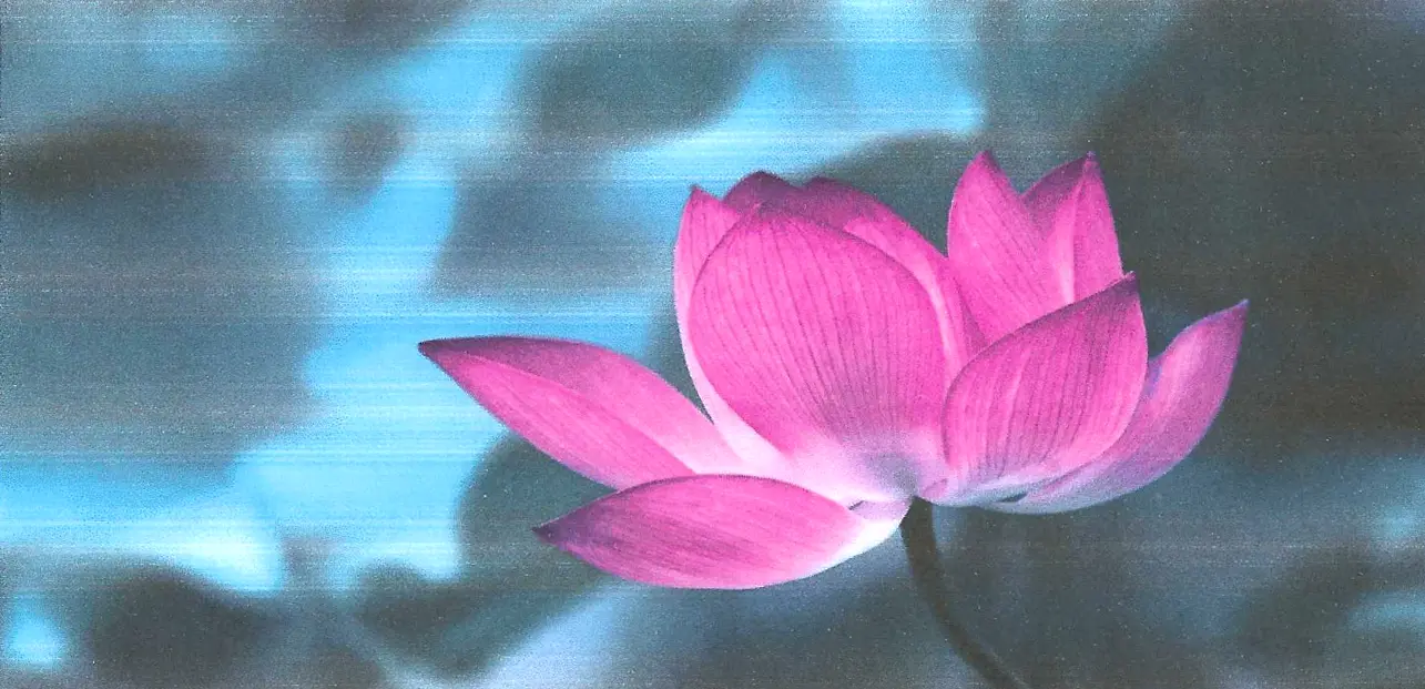 stage yoga 23 03 2025